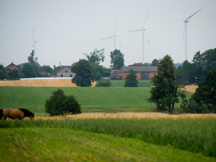 Nowoczesna pracuje nad projektem zmian w tzw. ustawie wiatrakowej